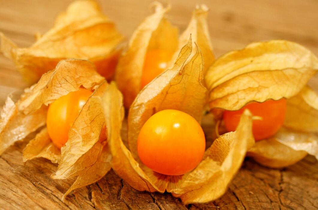 農(nóng)業(yè)自動氣象站助力菇娘規(guī)模化種植 農(nóng)業(yè)自動氣象站助力菇娘規(guī)模化種植